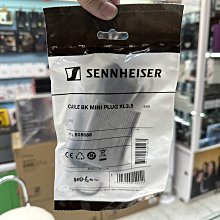 禾豐音響 2.5m SENNHEISER HD600 原廠耳機線 宙宣公司貨 適用 HD580 HD650 HD25