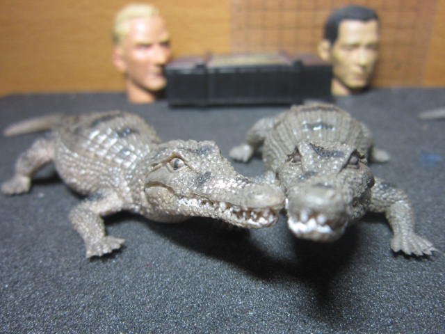 Z4動物部門 黑幫寵物1/6擬真鱷魚模型一隻
