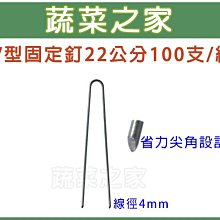 【蔬菜之家滿額免運】V型固定釘22公分100支/組※此商品運費請選宅配貨運※