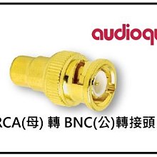 【高雄富豪音響】美國線聖 Audioquest RCA(母) 轉 BNC(公)轉接頭(單顆)