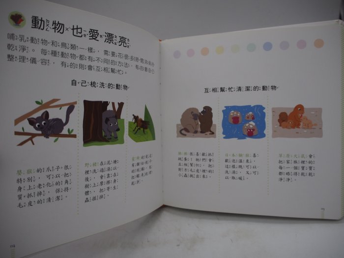 【月界二手書店】探索動物小百科－LOOK大視界系列（初版一刷）_希爾薇．貝蘇爾_漢湘文化_原價450　〖少年童書〗CKY