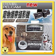 【🐱🐶培菓寵物48H出貨🐰🐹】EYENIMAL》M006大狗專用攜帶式防水型攝影機(中大型貓犬用)特價7600元