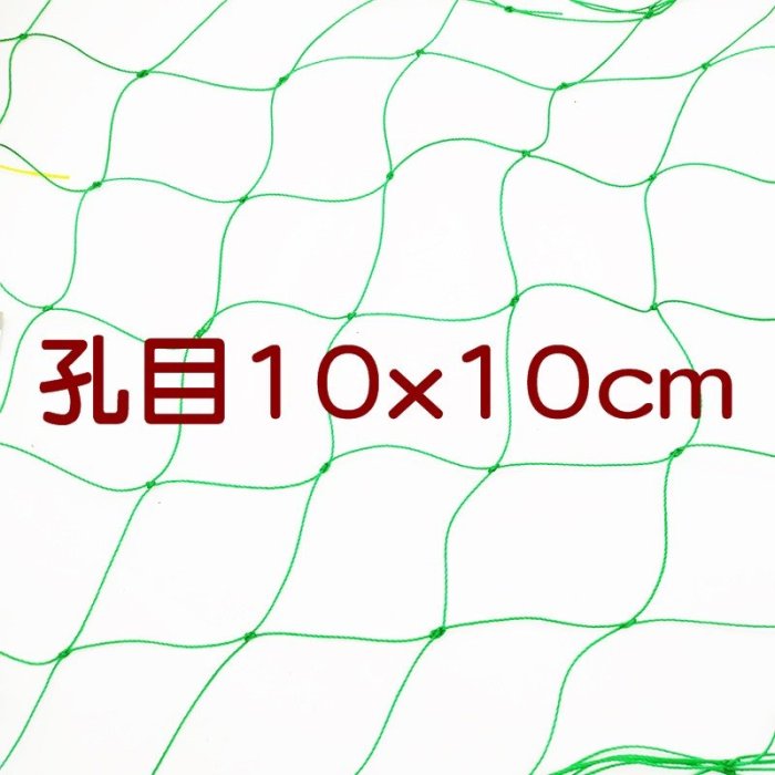 【珍愛頌】N419 爬藤網 180X500 爬藤植物網 家庭園藝用網 園藝網 攀爬網 番茄網 絲瓜網 苦瓜網 百香果網