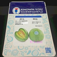 【野菜部屋~】R29 翠妞甜瓜種子4粒 , 皮薄也可食用 , 甜度高 , 每包15元 ~