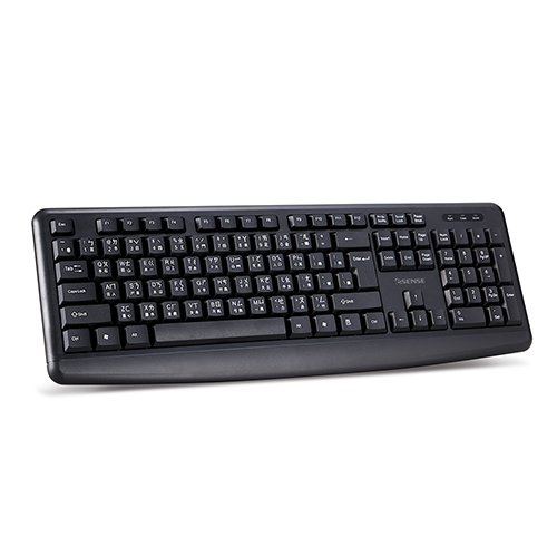 車庫  逸盛 公司貨 ESENSE K4650 大字體標準靜音鍵盤 (黑) 13-EKS4650 BK