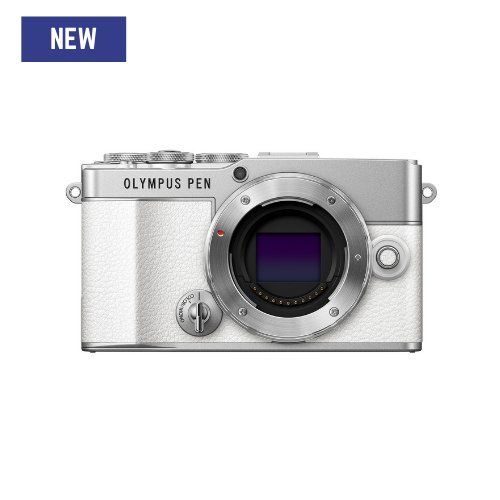 大元 台南*【日系復古｜E-P7 公司貨現貨】 OLYMPUS PEN E-P7