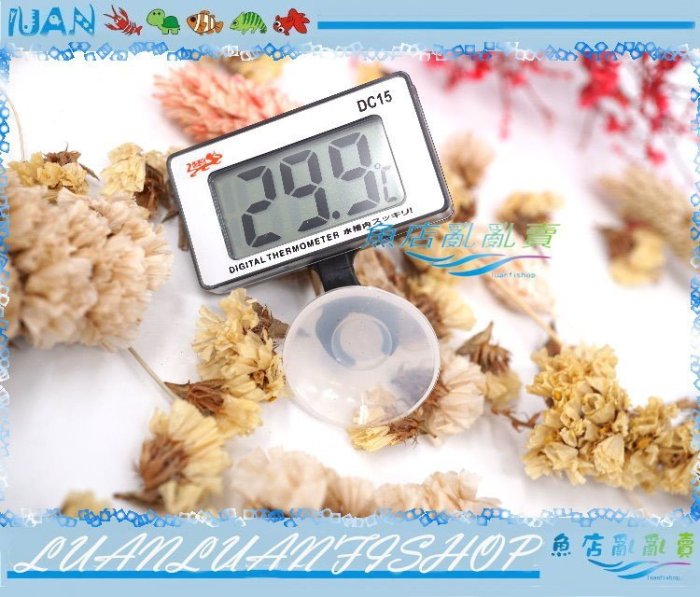 【魚店亂亂賣】ISTA 電子溫度計(LCD電子水溫計)精準測量水溫I-623台灣伊士達