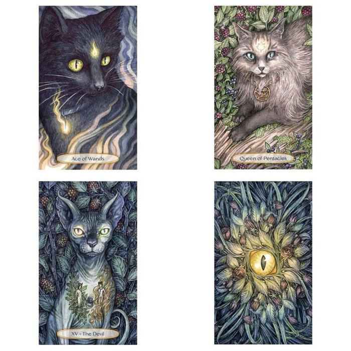 三森 進口正版 貓魂塔羅牌卡牌桌游 Soul Cats Tarot