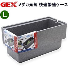 微笑的魚水族☆GEX-五味【觀賞 方型 飼育箱 L】青鱂元氣舒適飼養箱.觀賞方型 飼育箱