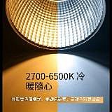 Ulanzi優籃子 LT005 雙色溫 60W COB補光燈 直播錄影 人像美顏氛圍 LED聚光燈