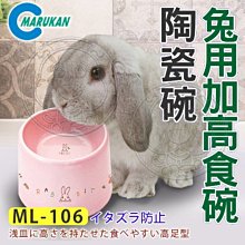 【🐱🐶培菓寵物48H出貨🐰🐹】MARUKAN》MK-ML-106小動物兔用加高陶瓷碗食碗 特價379元