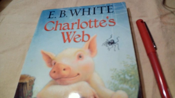 美美書房英文平裝讀本閱讀e.b.white charlotte's web伅編96