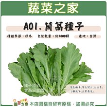 【蔬菜之家滿額免運】A01.茼蒿種子5000顆