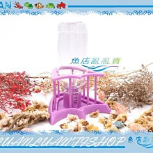 【~魚店亂亂賣~】諾摩NOMO兩棲爬蟲龍爪水盤NW-14(小)13x12x7.5cm自動飲水器/餵水盆/自動蓄水盆