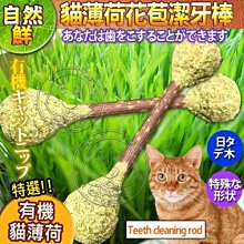 【🐱🐶培菓寵物48H出貨🐰🐹】自然鮮》貓薄荷花苞潔牙棒貓玩具NF-013 特價79元
