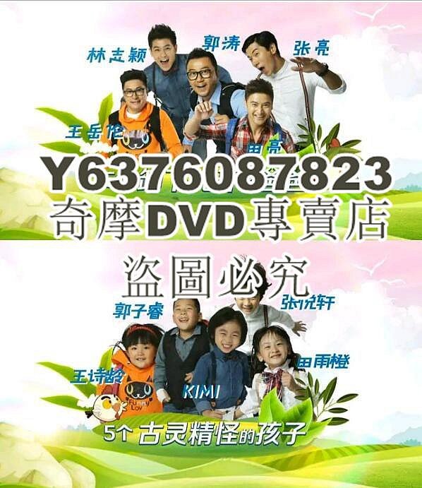 DVD影片專賣 2013大陸劇 爸爸去哪兒 第一季/爸爸！我們去哪兒？ 林志穎/小小志 國語中字 6碟