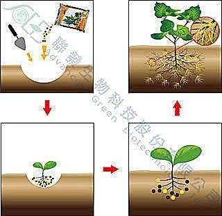 聯發菌專家 菌根菌 (1公斤原裝包）促進根部吸收養分增加植物對逆境及根部病害之耐受力