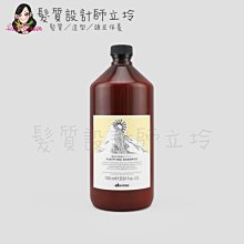 立坽『頭皮調理洗髮精』海泰公司貨 Davines特芬莉 新自然生機 純淨抗屑洗髮露1000ml IS04