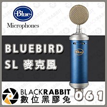 數位黑膠兔【 美國 Blue BLUEBIRD SL 麥克風 】 電容 直播 遊戲 創作 YouTube