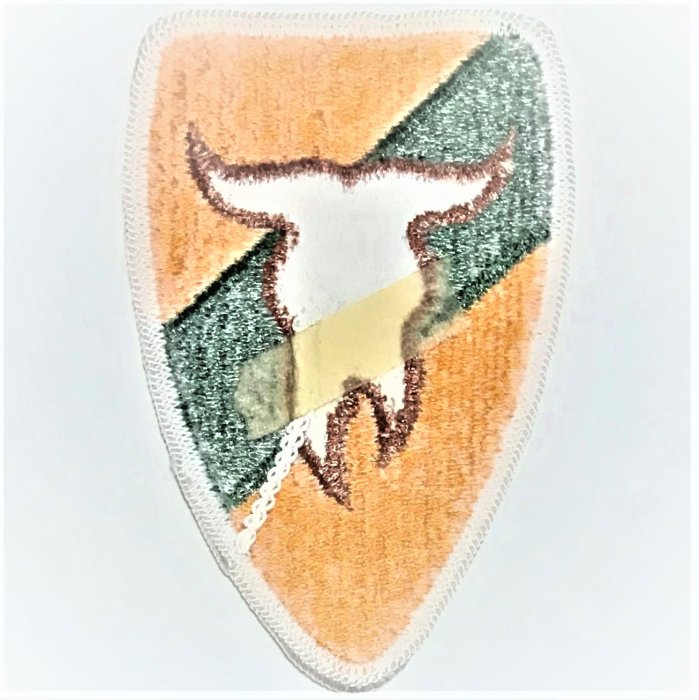 美軍公發 ARMY 陸軍 163rd Armored Cavalry Regiment 臂章 彩色 全新