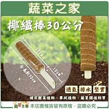 【蔬菜之家滿額免運】椰纖棒 30公分(可串接式)(塑膠中柱防霉)攀爬類植物.水苔棒.椰纖柱.椰棒