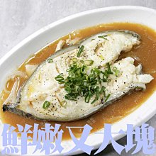 ㊣盅龐水產◇350/400鱈斑魚(斑點狼魚)◇重量380g±5%/片◇零$190/片挪威鮮魚 肉質鮮嫩 多膠質