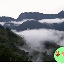 【茶葉館】茶農直營【阿里山比賽級烏龍﹝半青熟﹞】冷泡也很好喝～滿意保證~含運