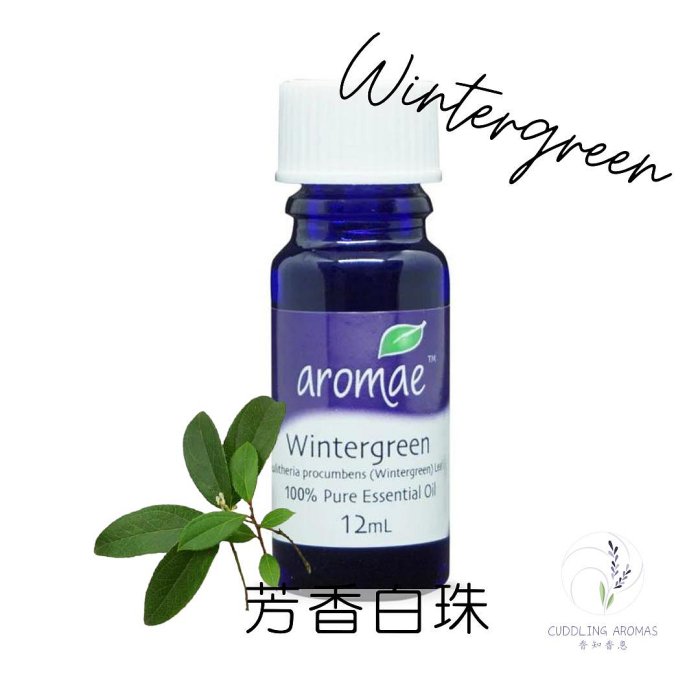 【澳洲 aromae 精油】芳香白珠精油