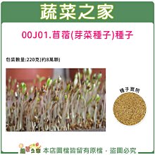 【蔬菜之家滿額免運00J01】大包裝苜蓿芽種子220克(約8萬顆) (苜蓿芽菜種子)※不適用郵寄掛號配送※