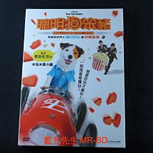 [藍光先生DVD] 百萬樂透狗 ( 聰明狗笨豬 ) Millionaire Dog