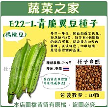 【蔬菜之家】E22-1.青脆翼豆種子10顆(楊桃豆) // 蔓性一年生，開藍白或紫色花，每花穗有2莢