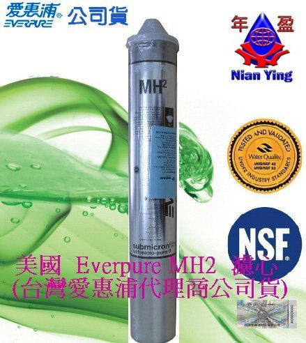 【年盈淨水】美國 EVERPURE 愛惠浦 MH2濾心(公司貨)~另有S104，MC2，S54，3M9812X，CS25