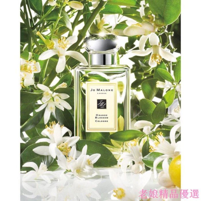 Jo Malone 羅勒與橙花純露香水100ml 古龍水 英國梨小蒼蘭勒馬鞭草針葉雪松苦橙英倫情人節禮物送禮首選女友