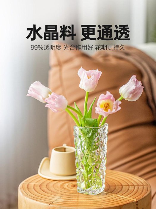 玻璃花瓶擺件客廳透明水養插花小號郁金香水培器皿鮮花ins迷你台北有個家