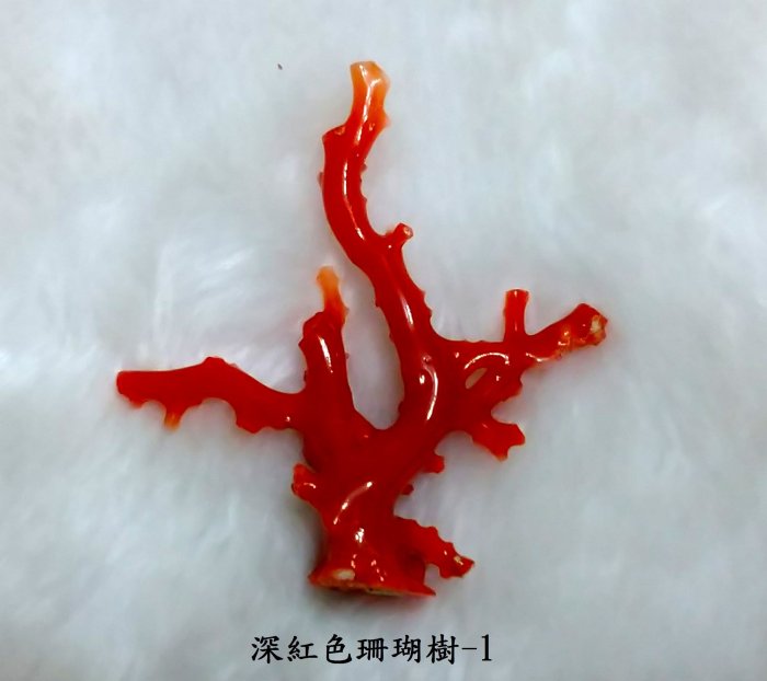 CR-1752 鍍金戒指長方型(6MMX13MM)鑲三個深紅色圓珠珊瑚(4.2MM)戒圍(16.5MM)