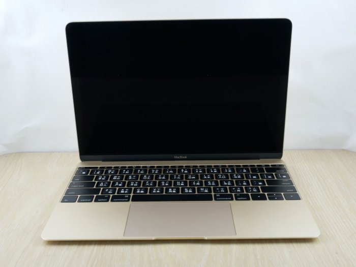 缺貨 專業 二手筆電 Apple MacBook A1534 15年 雙核/8G/256G固態/12吋 輕薄 追劇 視訊