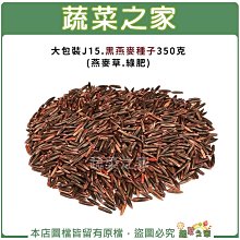 【蔬菜之家滿額免運】大包裝J15.黑燕麥種子350克(燕麥草.綠肥)(有藥劑處理)※不適用郵寄掛號配送※