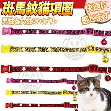 【🐱🐶培菓寵物48H出貨🐰🐹】台灣DABPET》可愛貓咪斑馬紋貓項圈M號(三款顏色) 特價105元