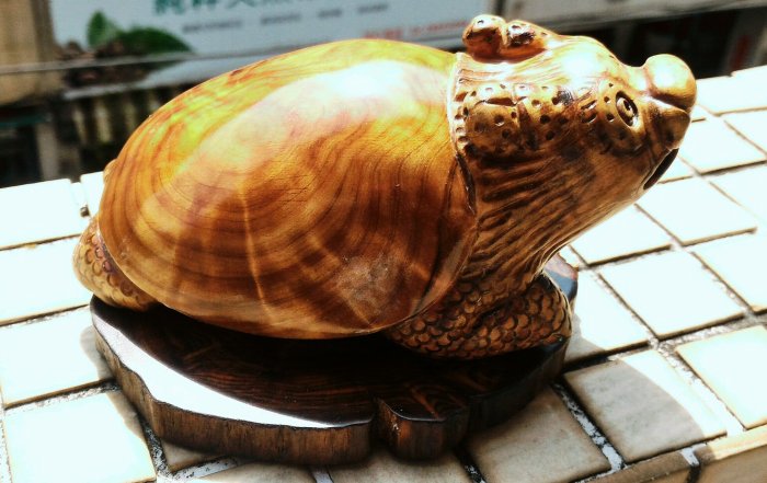 紅檜鳳尾榴(瘤)雕龍龜