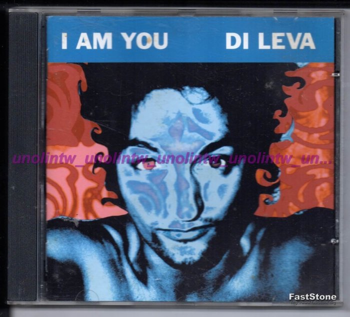 299免運CD：DI LEVA 迪力瓦【I AM YOU】義大利裔瑞典葛萊美最佳藝人歌手，英語專輯歐洲版~免競標可海外