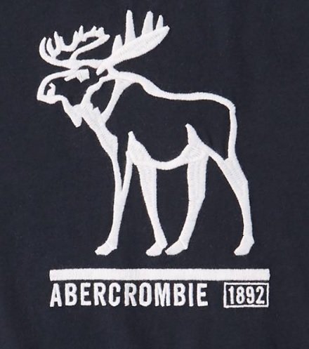 AF A&F abercrombie kids 經典款 大男童 車繡 logo 麋鹿 短T 藍色