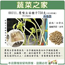 【蔬菜之家滿額免運】大包裝J11.鷹嘴豆苗種子750克 ※不適用郵寄