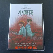 [DVD] - 小魔花 Little Joe ( 得利正版 )