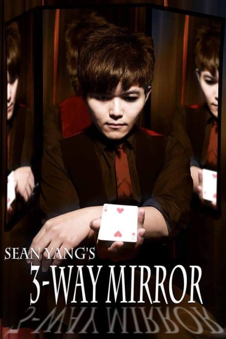 [魔術魂道具Shop] 魔術魂出品~Sean Yang's 3-way mirror By 楊大寶~大魔鏡~魔術師必備