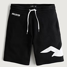 HCO Hollister 海鷗 現貨 刷毛 棉褲 短褲 印花 大LOGO 黑色 美國姐妹屋