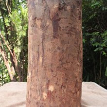 檀木【和義沉香】《編號US02》印尼檀木原木氣味清悠 質地堅硬 雕塑雕刻上選