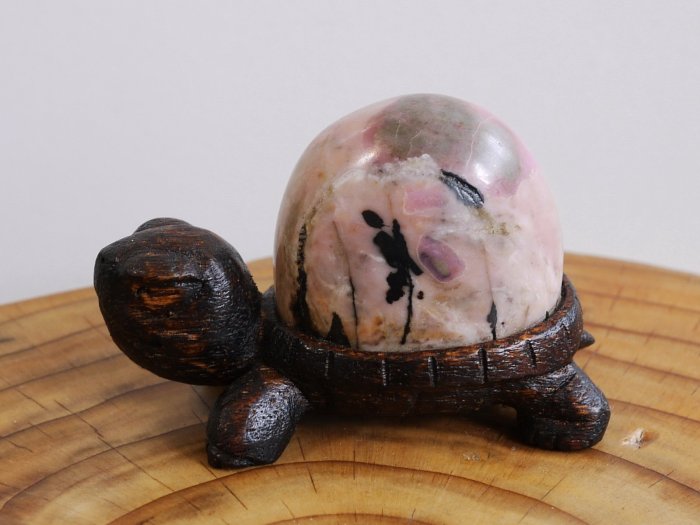 (石雕-台灣. 石乾) (台灣玫瑰石) 木+石創作 烏龜 -- 花蓮立霧溪