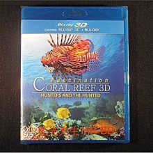 [3D藍光BD] - 魅力珊瑚礁：獵人和獵物 Fascination Coral Reef : Hunters And The Hunted 3D + 2D