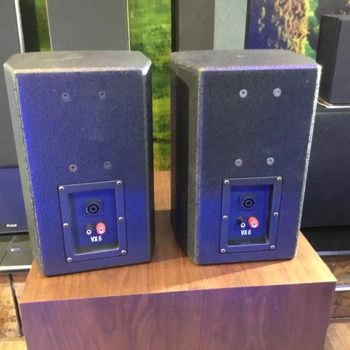 大宇宙音響：TANNOY VX6同軸喇叭ㄧ對 6吋單體喇叭2支 環繞、廣播喇叭、中古品