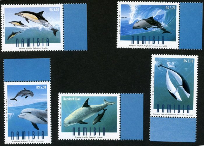 2006那密比亞沿海海豚、鯨魚